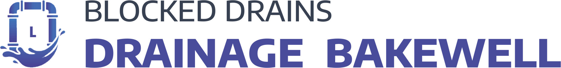 website logo